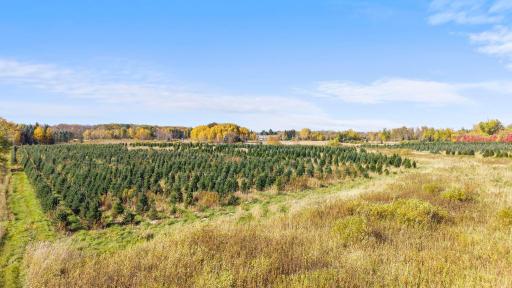 TBD 377th Avenue NW, Dalbo, MN 55017