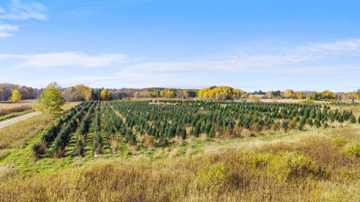 TBD 377th Avenue NW, Dalbo, MN 55017