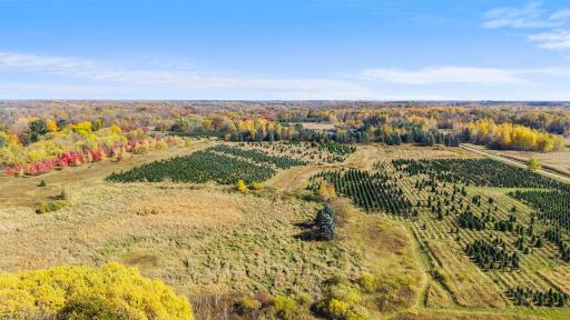 TBD 377th Avenue NW, Dalbo, MN 55017