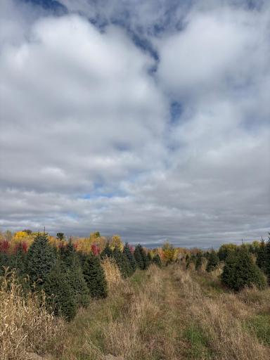 TBD 377th Avenue NW, Dalbo, MN 55017