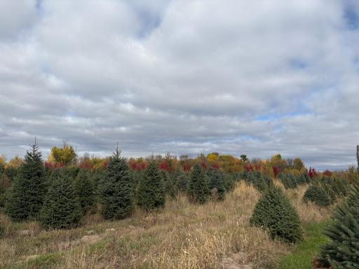 TBD 377th Avenue NW, Dalbo, MN 55017