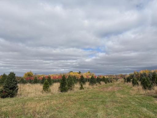 TBD 377th Avenue NW, Dalbo, MN 55017