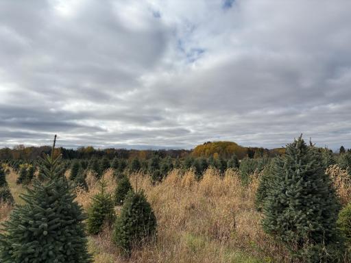 TBD 377th Avenue NW, Dalbo, MN 55017
