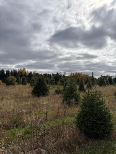 TBD 377th Avenue NW, Dalbo, MN 55017