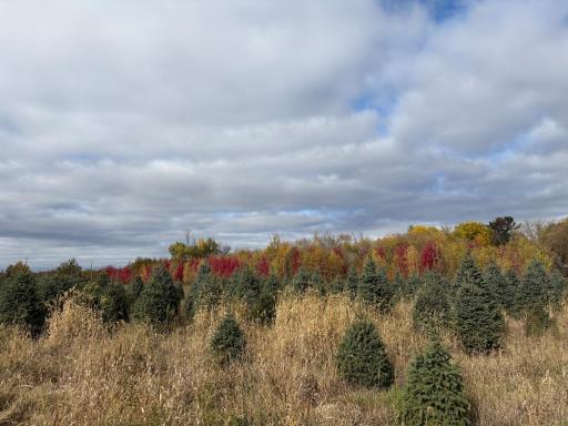 TBD 377th Avenue NW, Dalbo, MN 55017