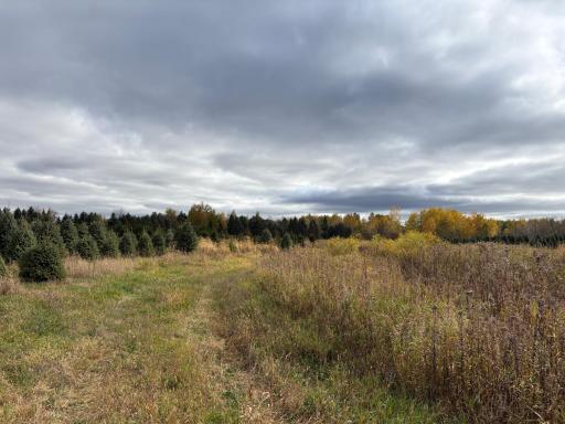 TBD 377th Avenue NW, Dalbo, MN 55017