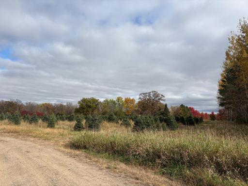 TBD 377th Avenue NW, Dalbo, MN 55017
