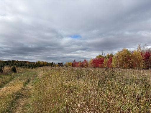 TBD 377th Avenue NW, Dalbo, MN 55017