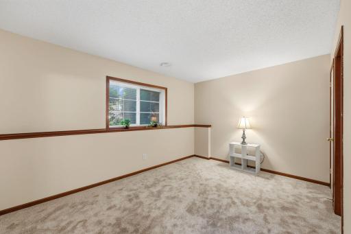 Downstairs bedroom