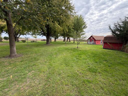 2580 250th Street, Madison, MN 56256