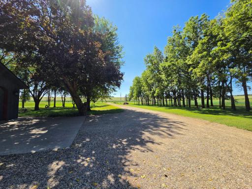 20258 380th Street, Le Center, MN 56057