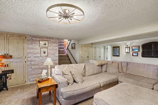20258 380th Street, Le Center, MN 56057