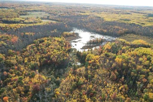 dji_fly_20261009_091420_619_1791556078688_photo.jpg