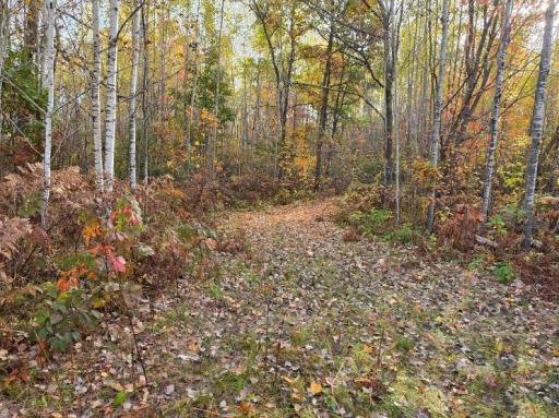00 Highway 77, Minong, WI 54859