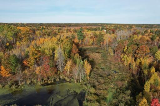 dji_fly_20261009_091822_628_1791556064289_photo.jpg