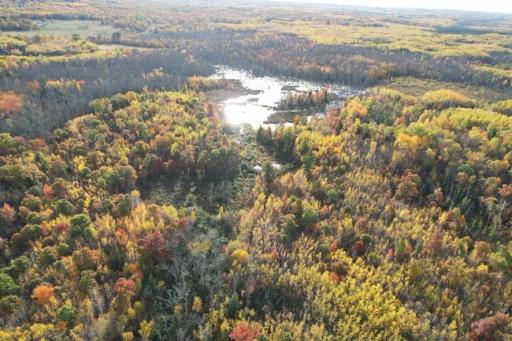 dji_fly_20261009_091622_624_1791556066911_photo.jpg