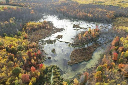 dji_fly_20261009_091708_625_1791556069087_photo.jpg