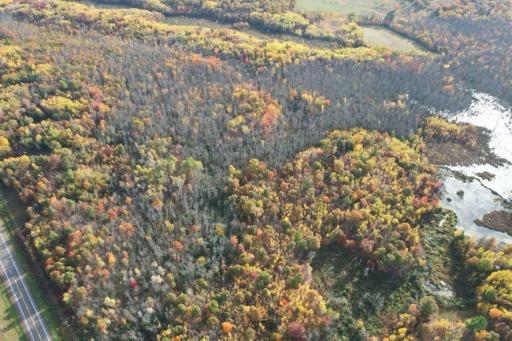 dji_fly_20261009_091550_623_1791556076711_photo.jpg