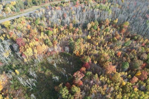 dji_fly_20261009_091724_627_1791556074192_photo.jpg