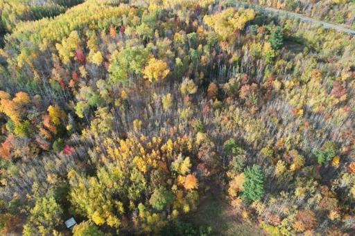 dji_fly_20261009_091718_626_1791556071705_photo.jpg