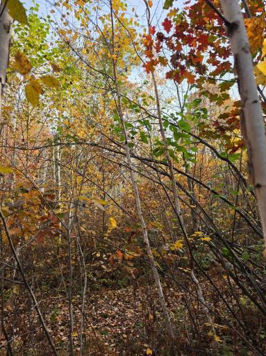 00 Highway 77, Minong, WI 54859