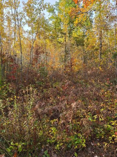 00 Highway 77, Minong, WI 54859
