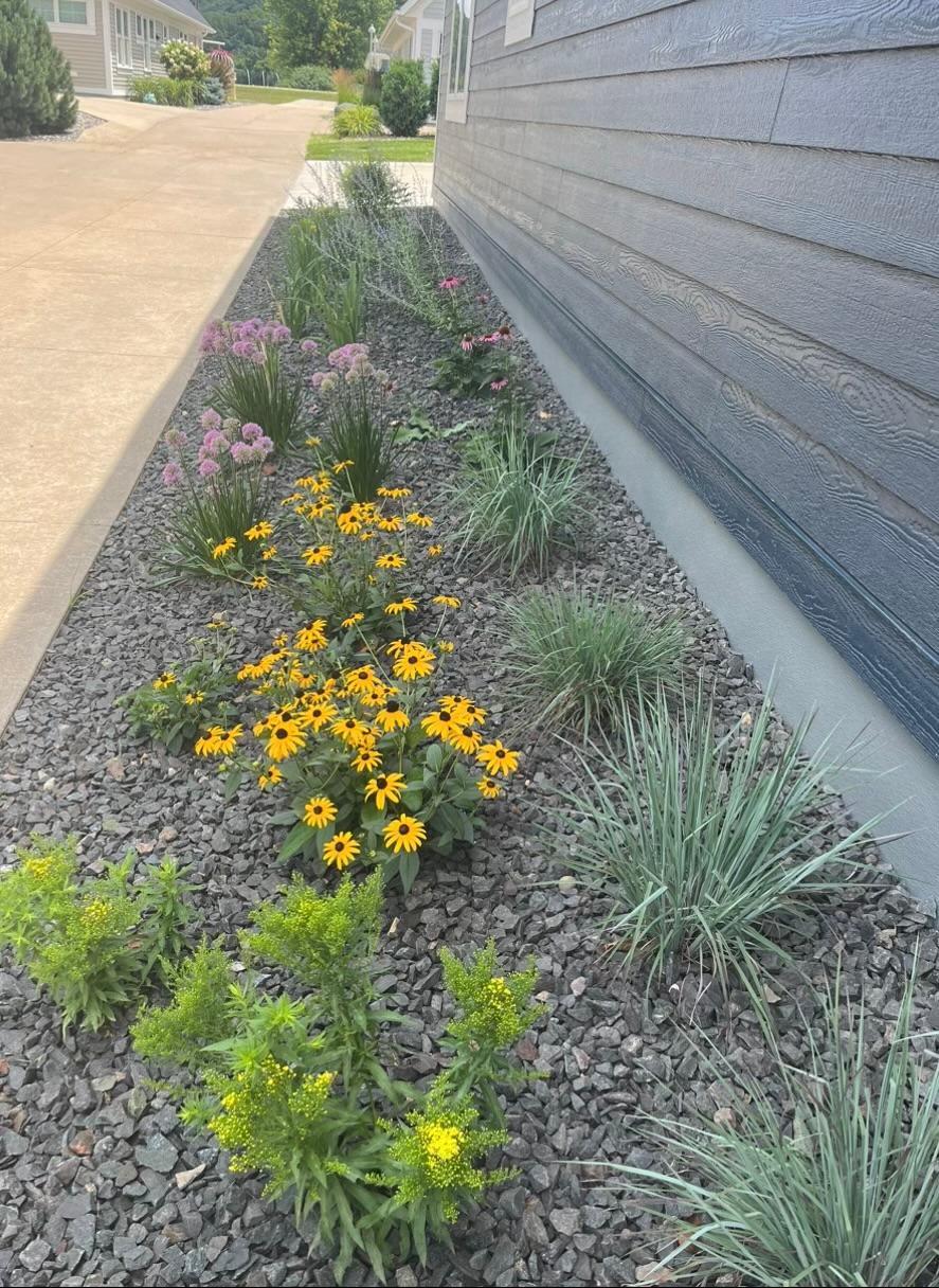 Exterior Summer