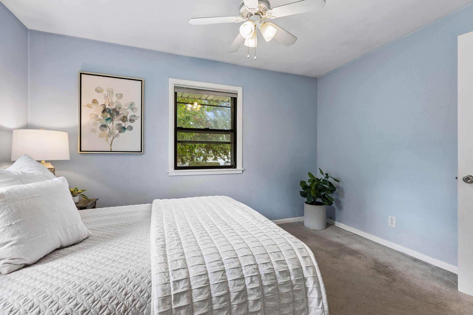 Primary Bedroom with western facing window