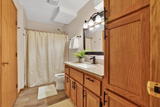 3838 Strathmore Lane SE, Rochester, MN 55904