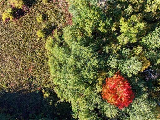 LOT 11 Cainscross Way SW, Pequot Lakes, MN 56472