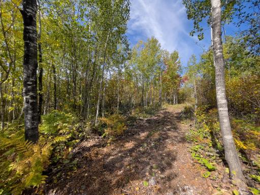 52XX Ramsdell Heights Road, Silver Bay, MN 55614
