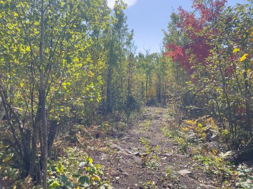 52XX Ramsdell Heights Road, Silver Bay, MN 55614