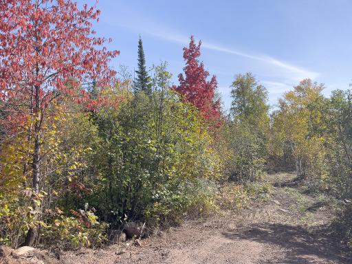 52XX Ramsdell Heights Road, Silver Bay, MN 55614