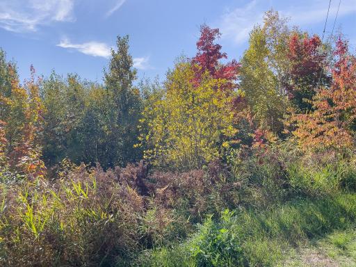 52XX Ramsdell Heights Road, Silver Bay, MN 55614