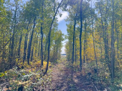 52XX Ramsdell Heights Road, Silver Bay, MN 55614