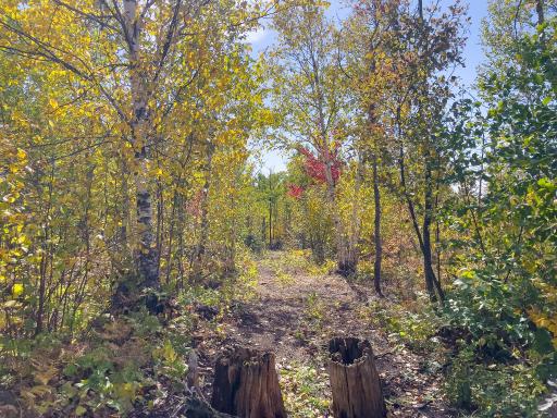 52XX Ramsdell Heights Road, Silver Bay, MN 55614