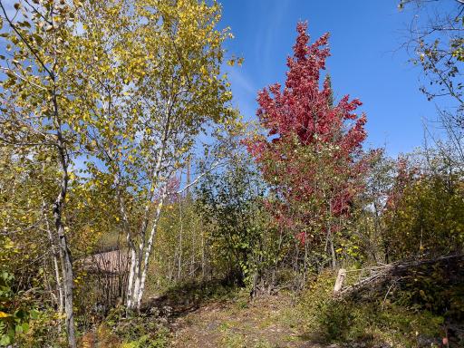 52XX Ramsdell Heights Road, Silver Bay, MN 55614