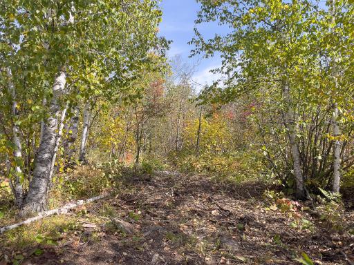52XX Ramsdell Heights Road, Silver Bay, MN 55614
