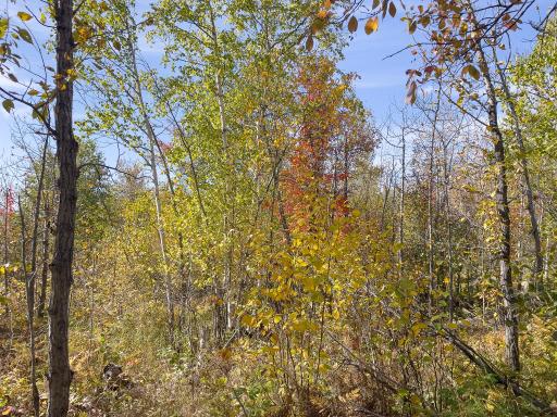 52XX Ramsdell Heights Road, Silver Bay, MN 55614