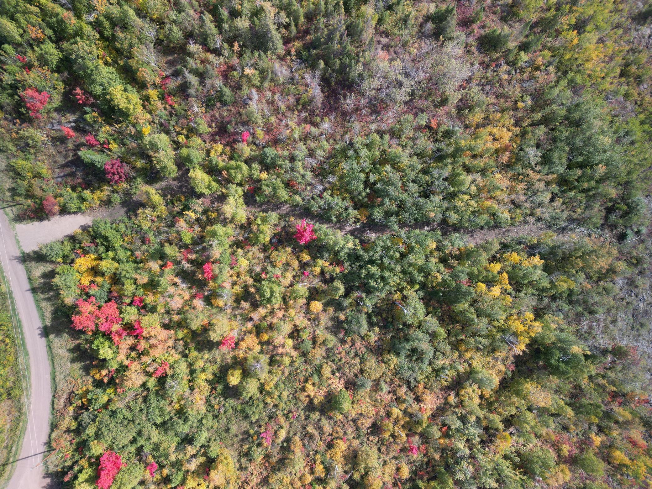 DJI_0754.JPG