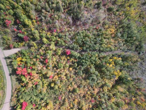 52XX Ramsdell Heights Road, Silver Bay, MN 55614