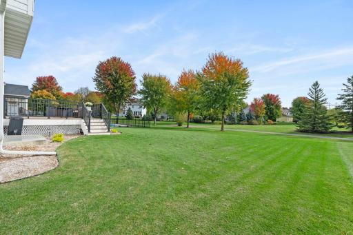 Large Backyard Backing Up to Open Green Space