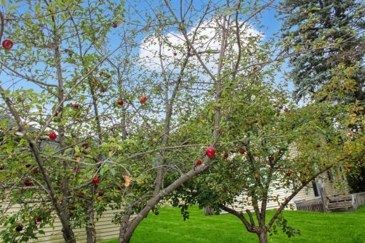 902 4th Street NE, Little Falls, MN 56345