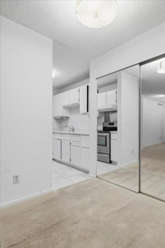 210 W Grant Street, 218, Minneapolis, MN 55403