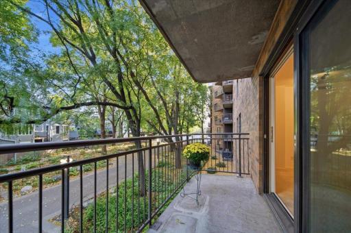 Balcony in the tree tops facing the Greenway