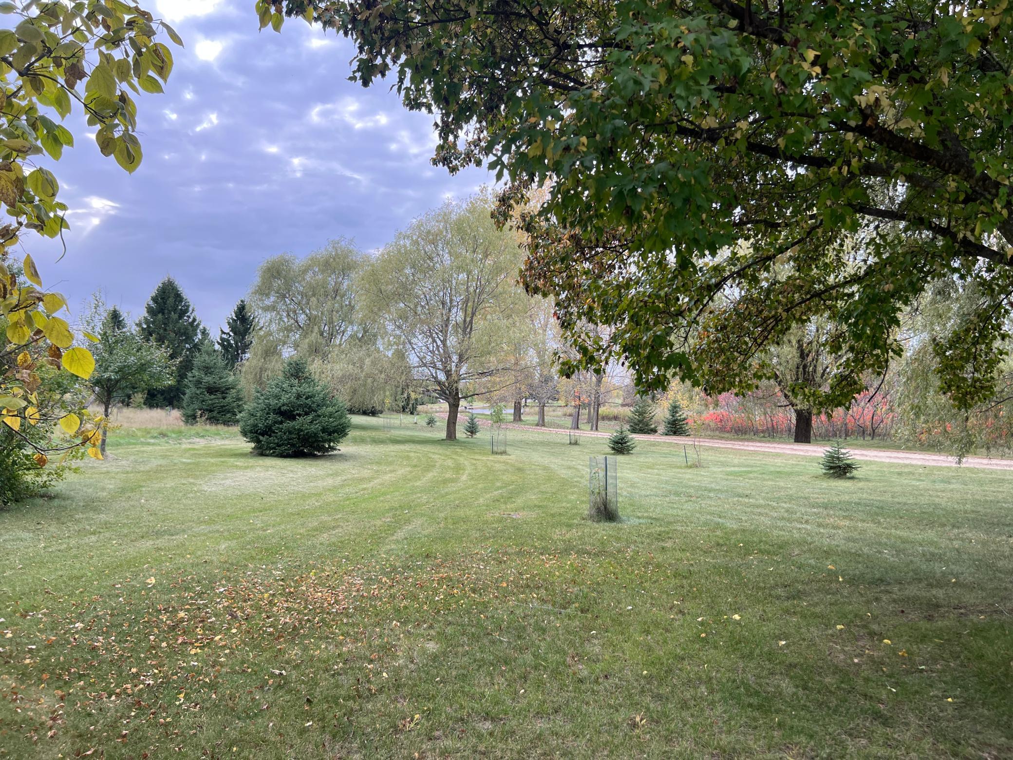 Tree lined driveway is so relaxing