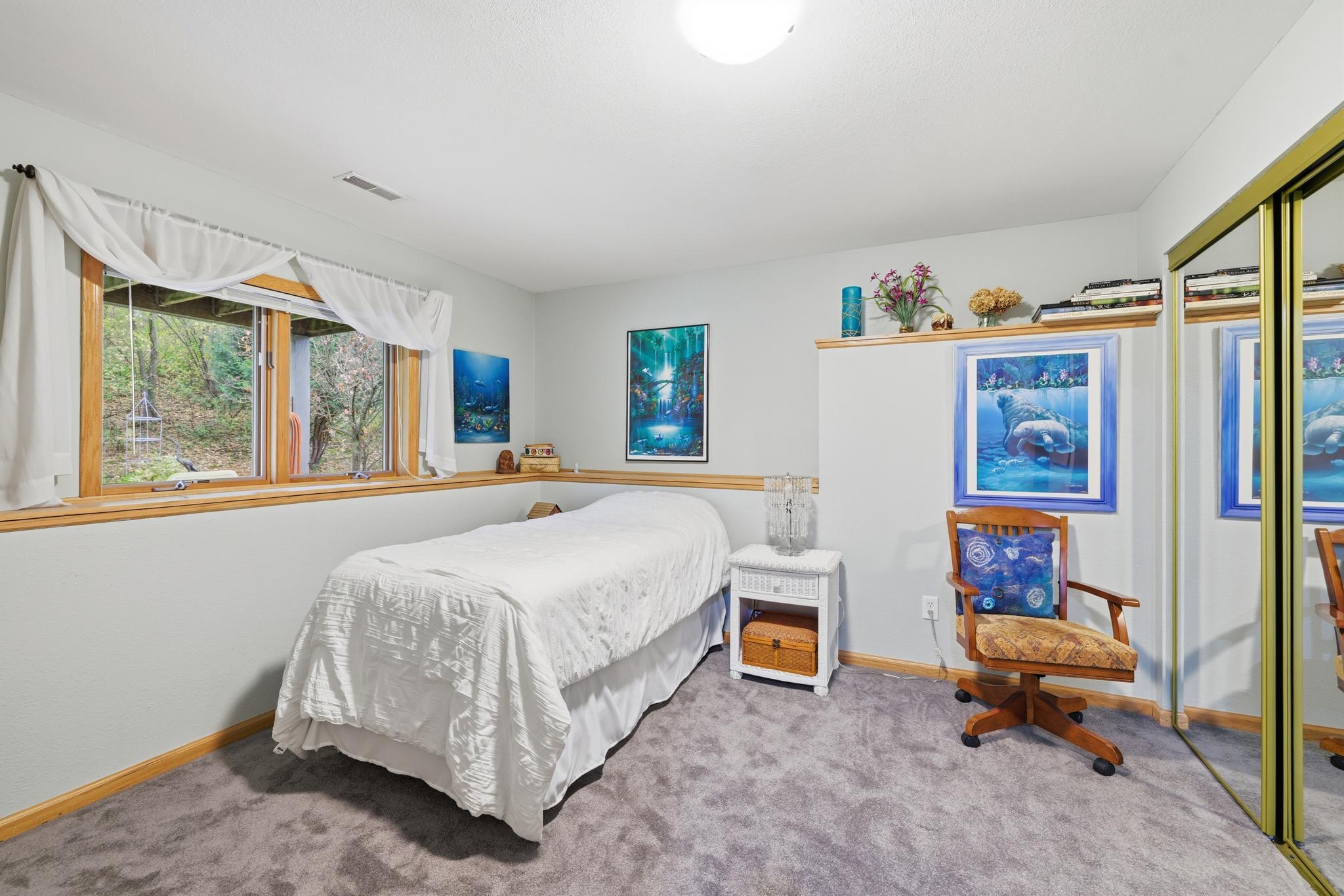 Lower level bedroom