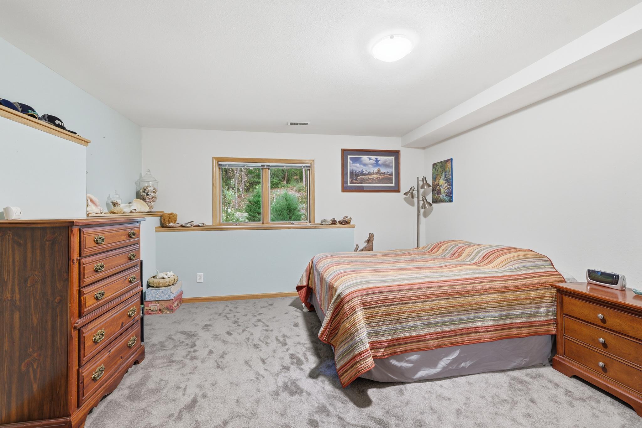 Second lower level bedroom