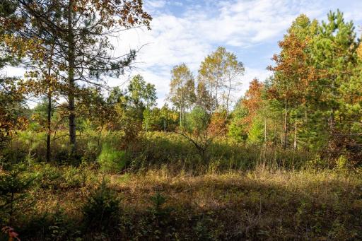 TBD E Prairie Road, Osseo, WI 54758