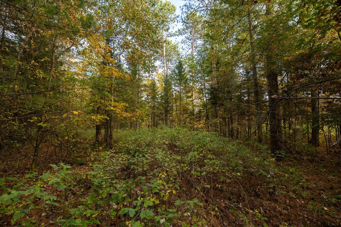 S38A0951.jpg